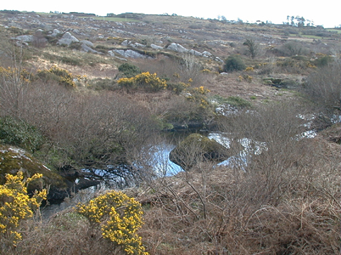 View from Crooked Bridge.jpg 348.0K